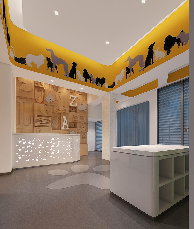 合肥卓创装饰宠物店装修墙面怎么设计经久耐看