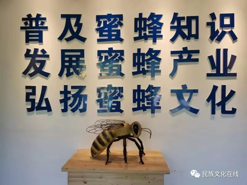 小蜜蜂大产业云南省罗平县开创一窝蜂产业甜蜜脱贫致富路