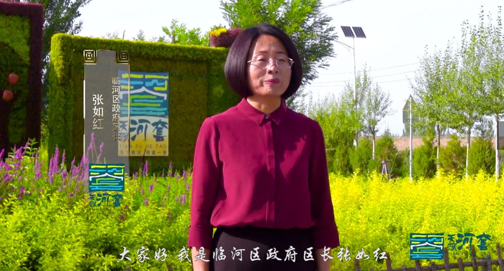 明星,歌手,外国友人,各区县区领导这样为天赋河套代言!