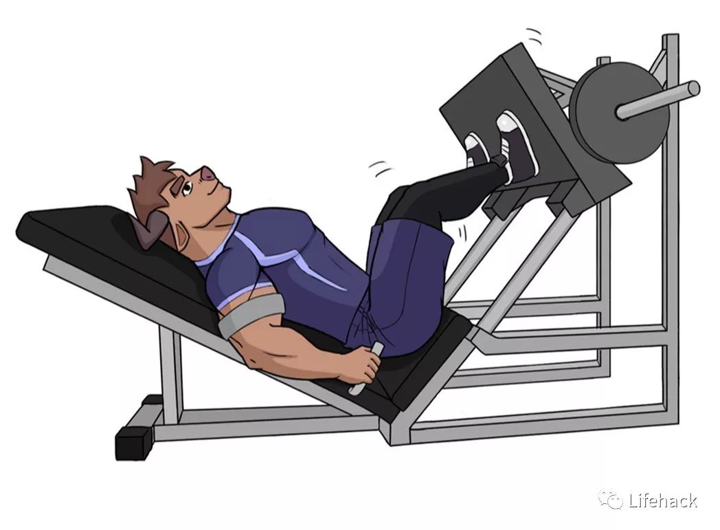 坐姿腿屈伸每组12次,做四组▼俯卧腿弯举每组12次,做四组▼农夫行走每