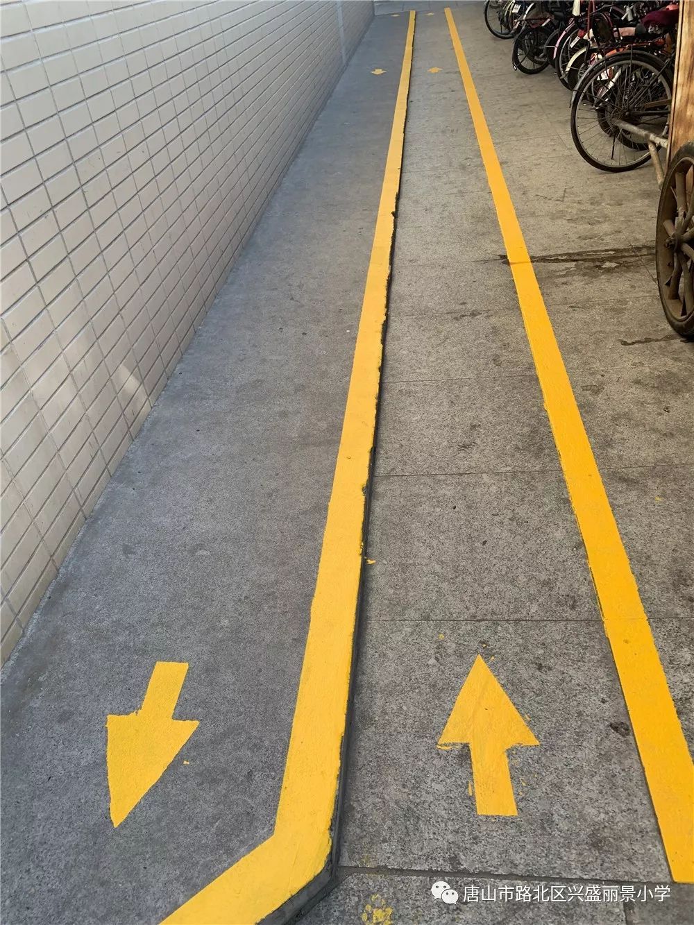 【丽景61微新闻】强化安全意识  提高避险能力