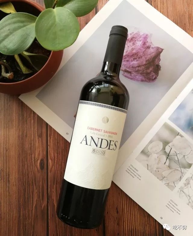 安第斯赤霞珠5000红葡萄酒 /支