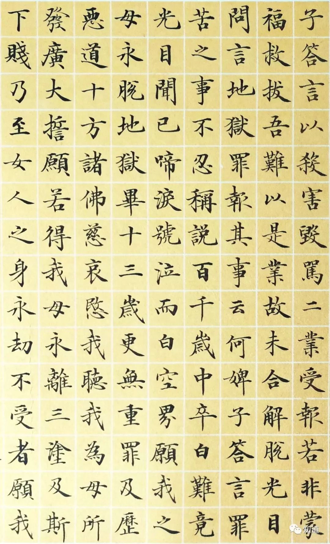 knowart于志强小楷地藏菩萨本愿经05