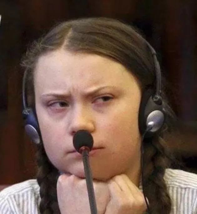 别逼中国人为16岁环保少女点赞了他们才是应该去联合国发言的人
