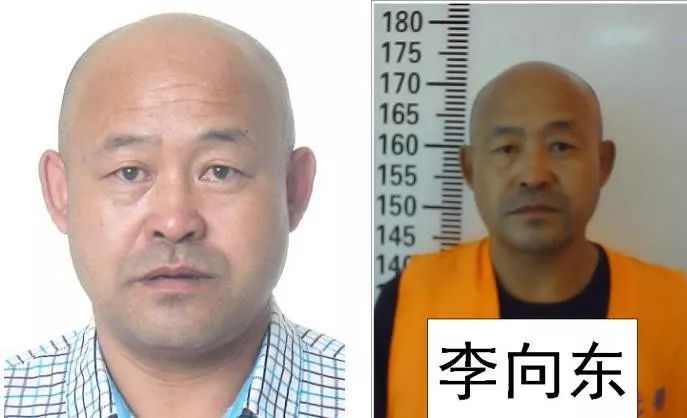 扫黑征集犯罪线索通告