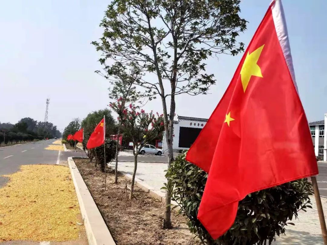 鲜艳的五星红旗迎风飘扬成为一道道靓丽的风景满眼的五星红旗让淮北