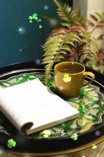 一茶,一书,一知己_诗意