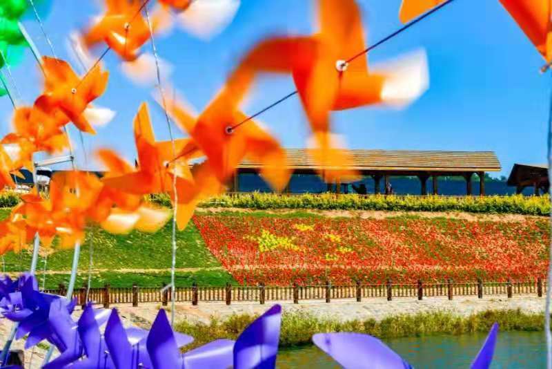 快讯七彩绥中等企业入驻绥中县首届农民丰收节