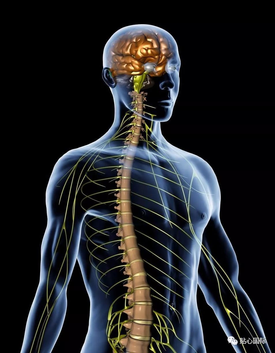 贴心医生质子治疗案例丨脊索瘤质子治疗效果显著