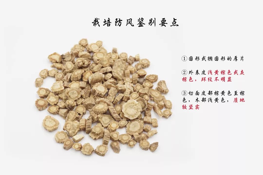 常见中药饮片鉴别彩色图谱130幅珍藏