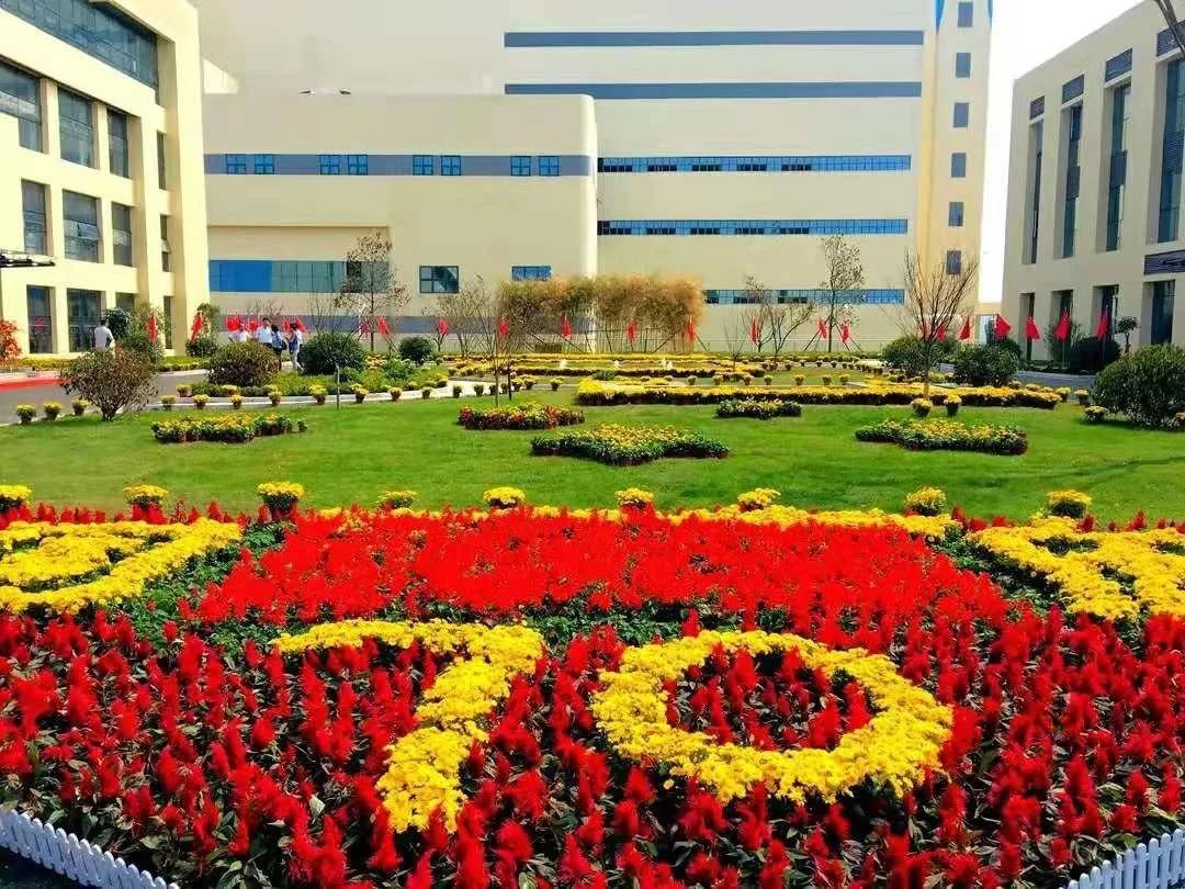 道路平整彩旗招展厂区大楼简洁美观代表公司发言公司副总工程师,德益