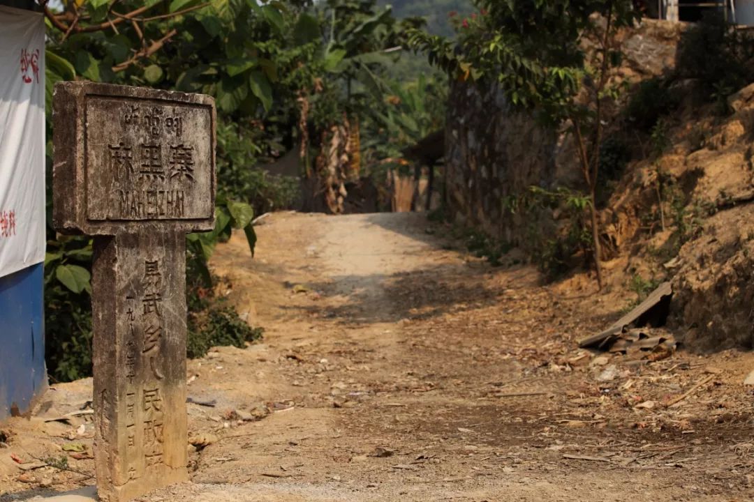 不识麻黑不足谈易武
