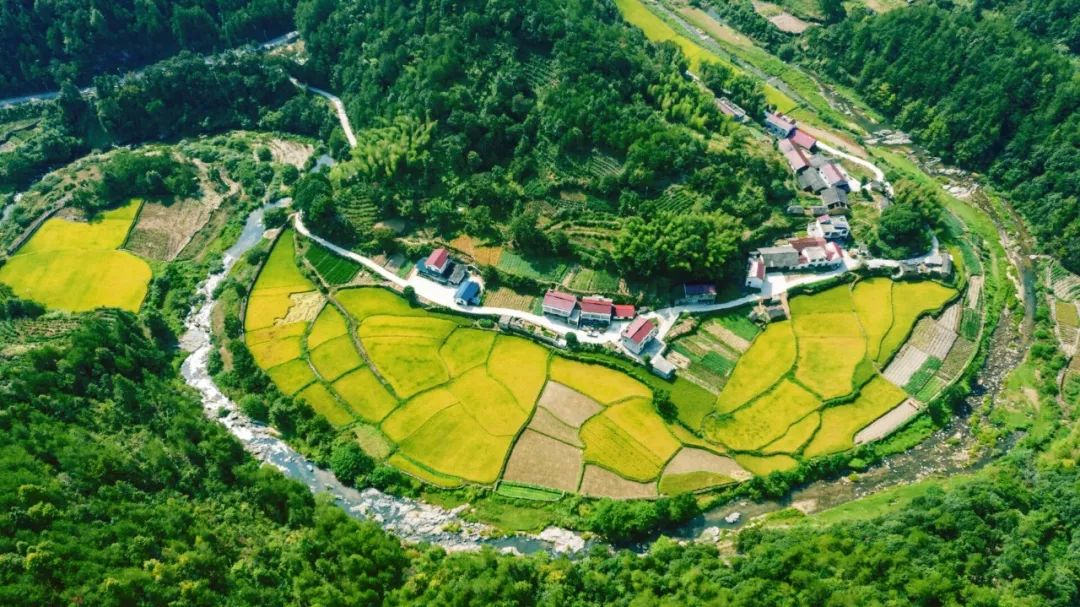 预告白帽镇将在这里举行文艺汇演精彩不容错过期待您的观看