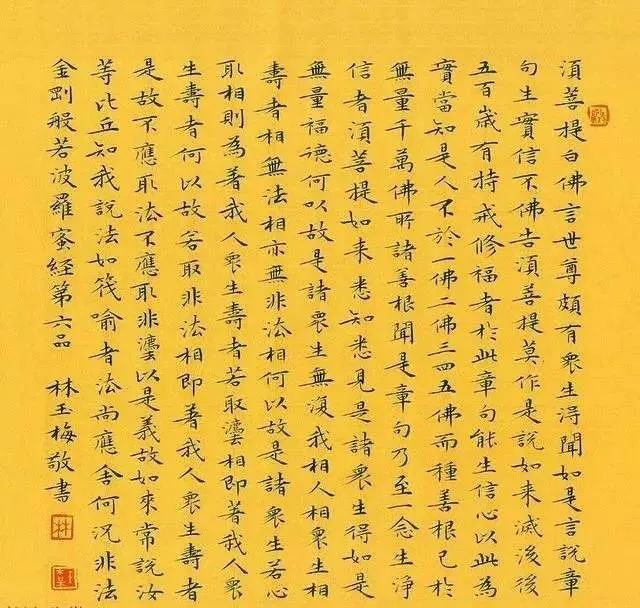 当代二十位著名女书法家及其作品欣赏写的真好