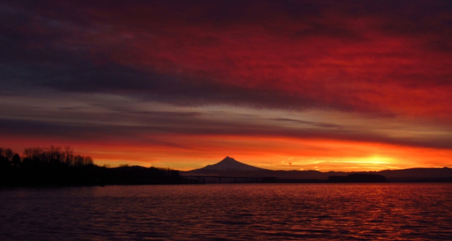 家电黄金周争夺接近尾声，但长虹格兰仕苏宁创维乘胜追击！-家电圈官网