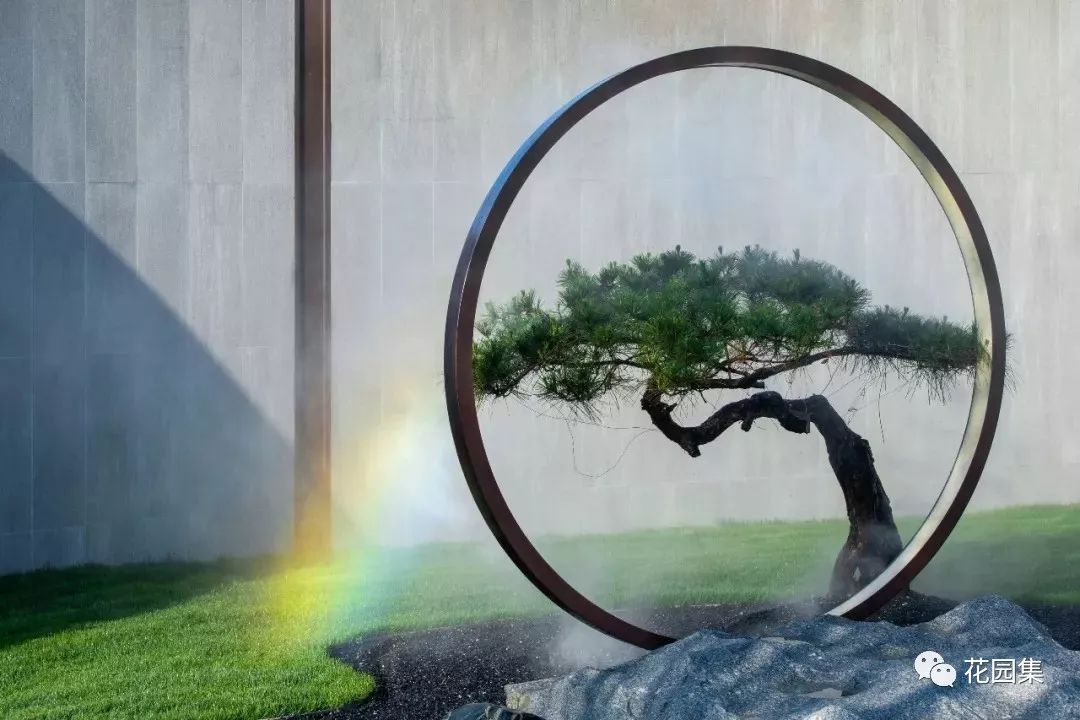 造型松无奇不自由气质庭院必备元素