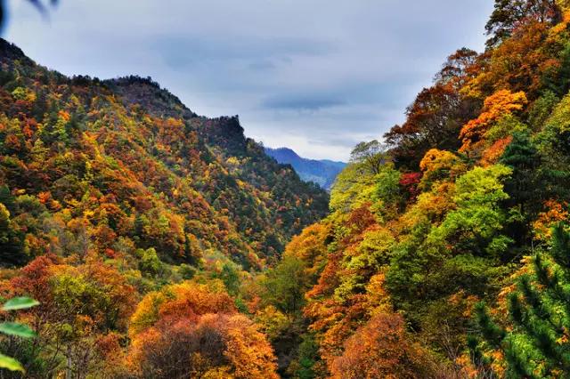 十一假期从银川出发,这5条自驾线路藏着最美的秋!