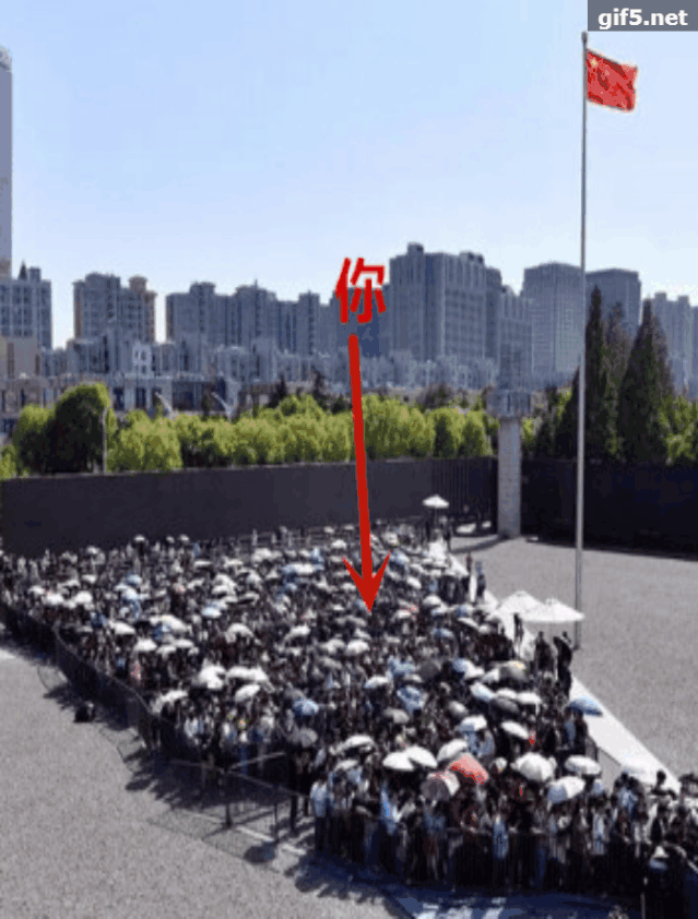639_842竖版 竖屏gif 动态图 动图