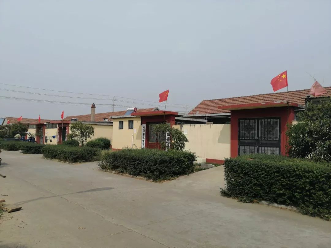 壮丽70年 奋斗新时代潮起岚山丨安东卫街道喜迎国庆,打造最美"中国红"