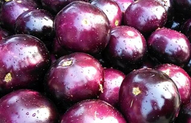 圆茄子和长茄子到底有什么区别为啥做菜要用圆茄很多人不知道