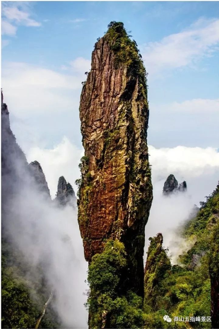 十一莽山五指峰惊艳启幕:对不起,我就是来霸屏的_景区