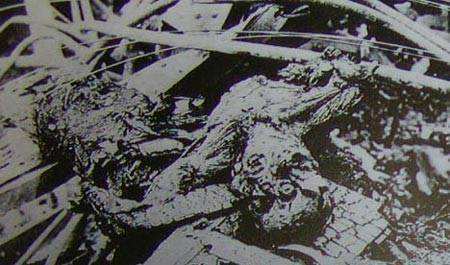 他是民国时期的东北首富,地位仅次于张作霖,后和张一起被炸死_吴俊升