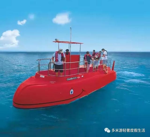 观赏穿过密集的珊瑚礁,观看海龟,鱼类甚至鲸鲨在纯净的蔚蓝海域中穿梭