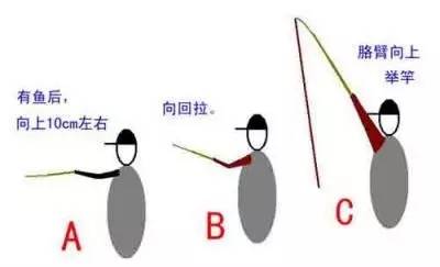 将钓竿及时向正前方推出并直臂扬起,手要举过头顶,中的是小鱼,可以