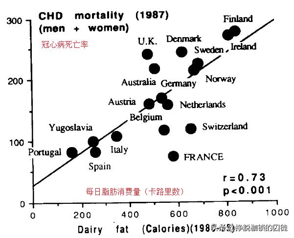喝酒真的有利于心脏健康从法国悖论说起