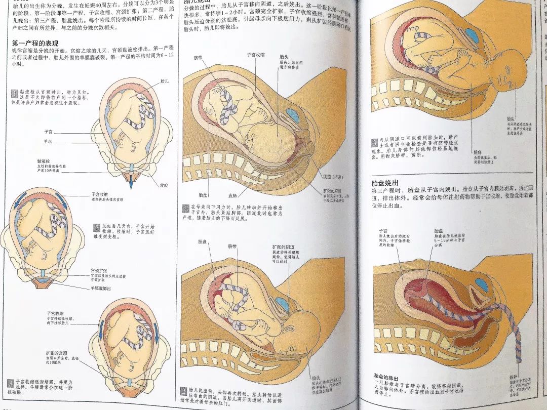 守护家人健康的必备图书《dk家庭医生》第二版重磅推出!
