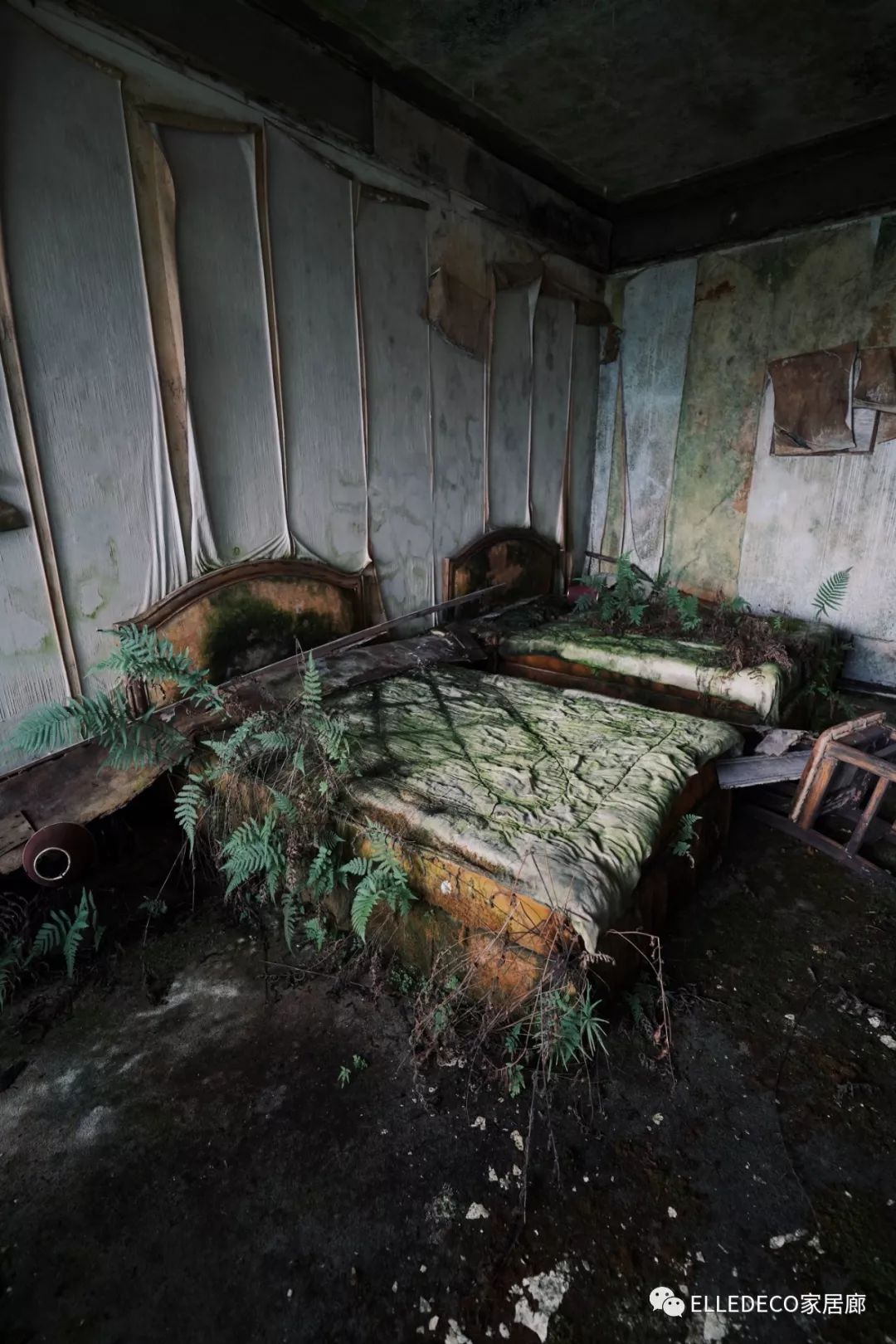 原创被遗弃的家