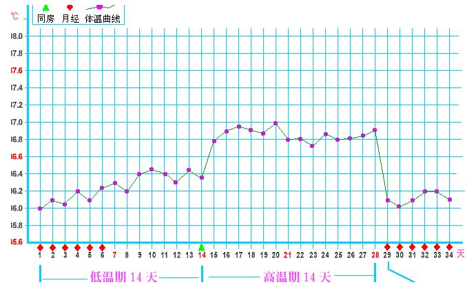 24小时体温变化曲线图图片