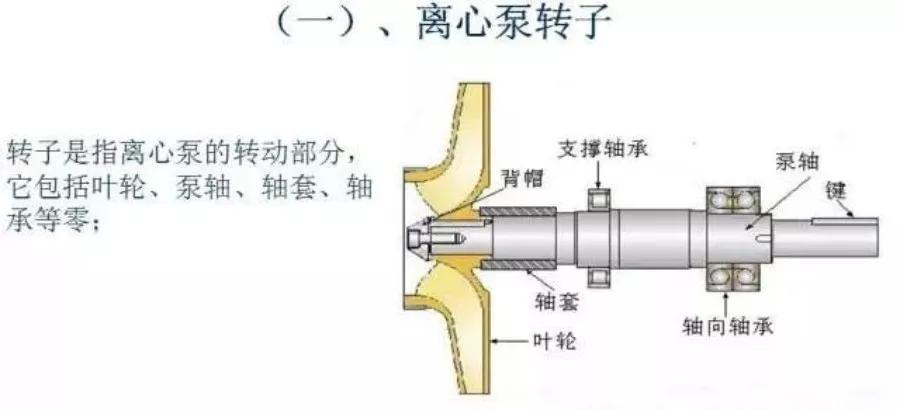 离心泵正确转向图片