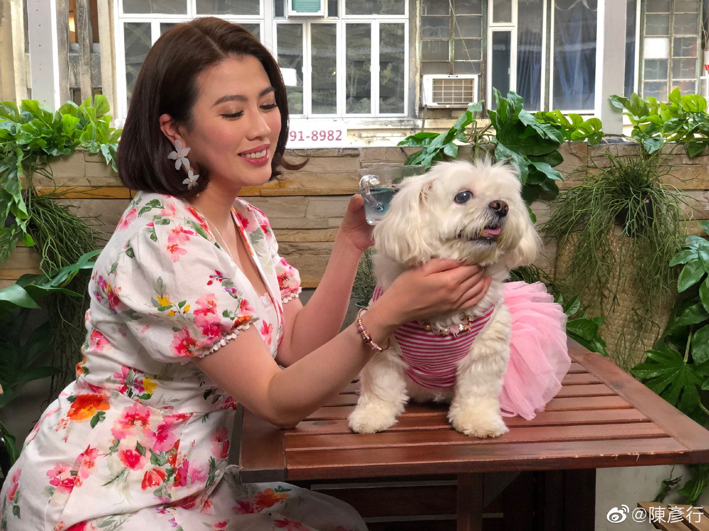 彭子晴在《天地男儿》,《精武英雄》和《逃学威龙》中均有出演,她是