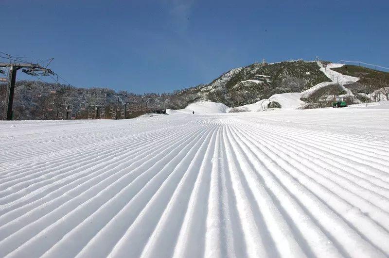 苗场滑雪场图片