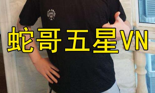 云顶之弈蛇哥失误合出五星vn共享三环小龙一秒阵亡