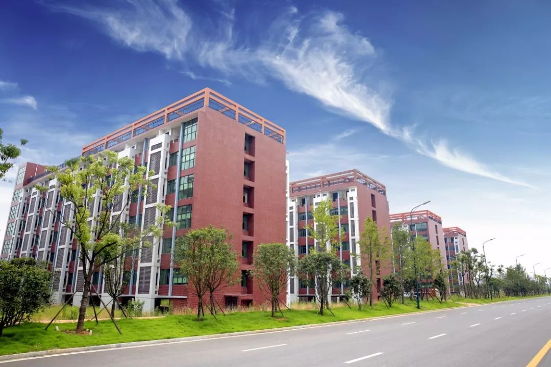 长龙街道向祖国汇报请检阅