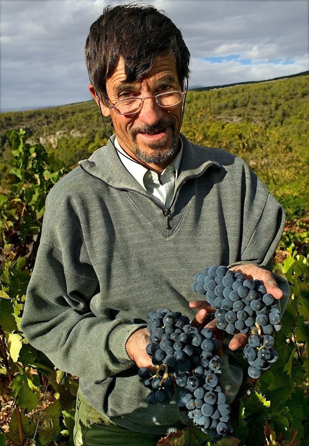 喜讯紫藤获得葡萄酒倡导家罗伯特帕克91分