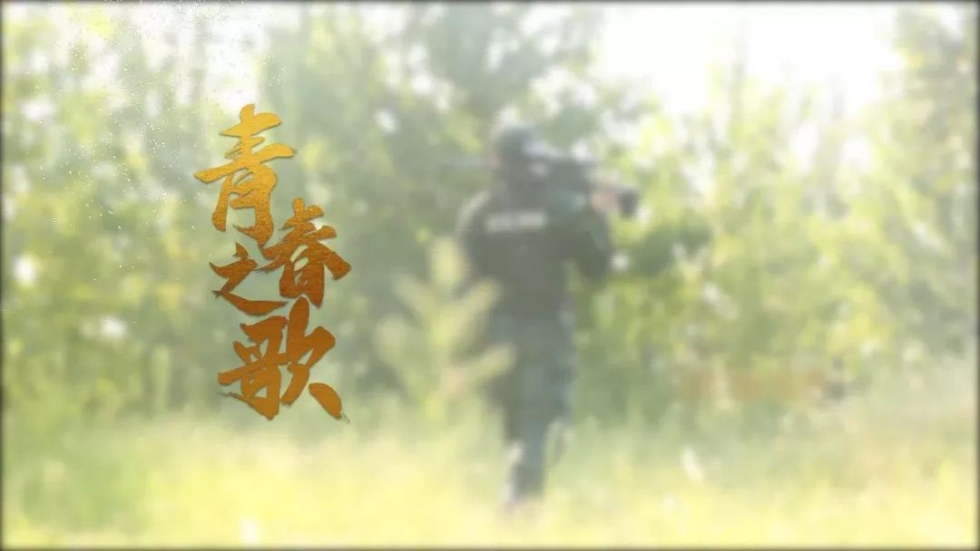 这些奋斗在河南的年轻人 用他们的努力和汗水 谱写出一曲曲青春之歌