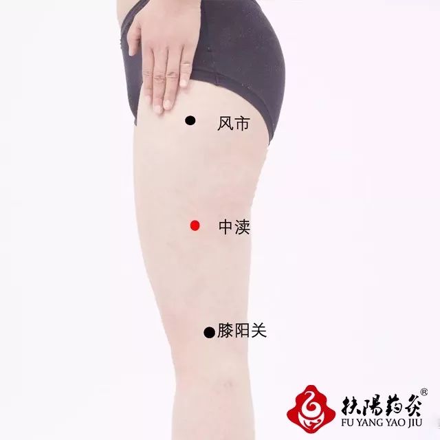 女性臀部反射区图片