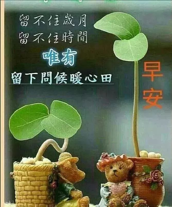 九月初一早上好的問候語圖片早上好表情帶祝福句子