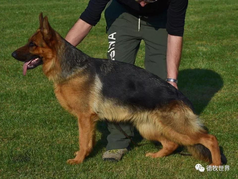 kquendolina vom amurv3 nayra du rhinlandmark vom pendlerjeny du