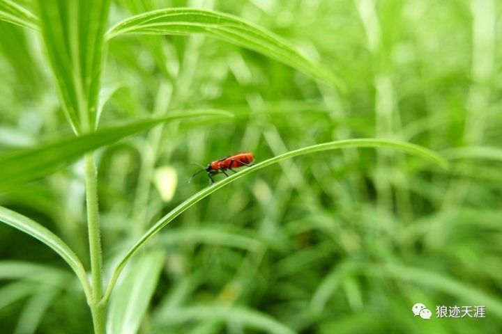 农历中国 九月初一 蛰虫坯户