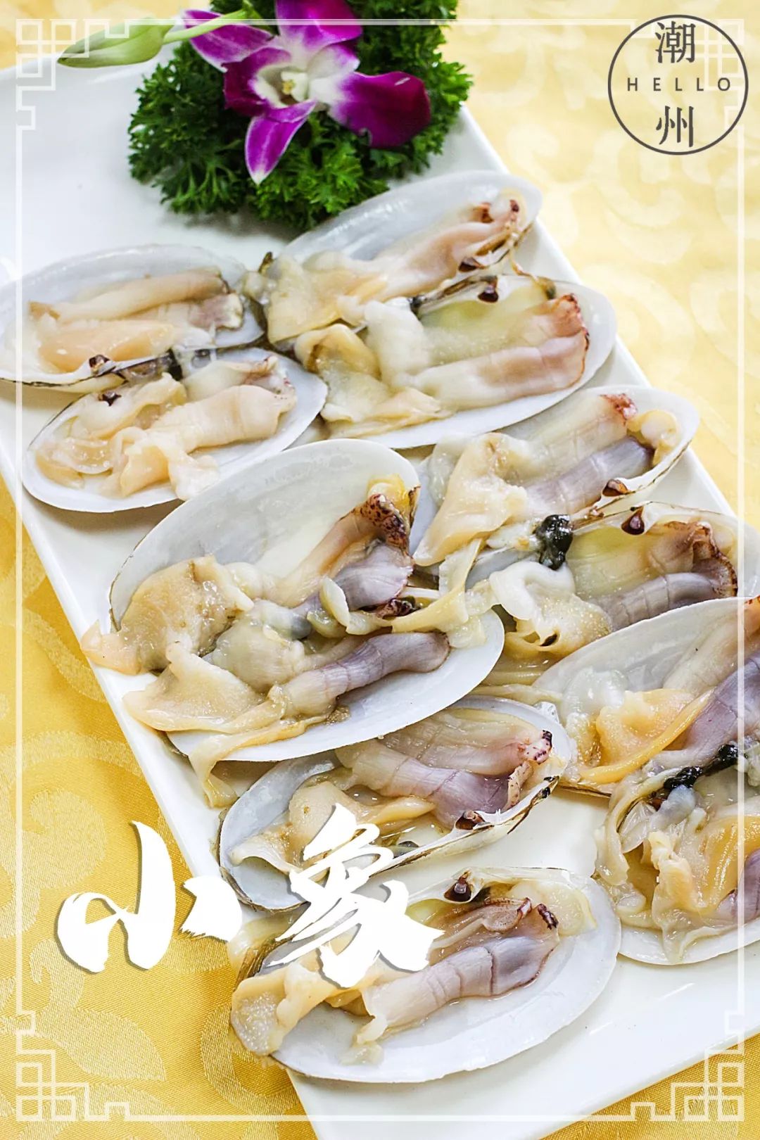 潮汕的的贝类海鲜种类众多,其小象蚌因味美多汁,肉质柔嫩而深受"胶己