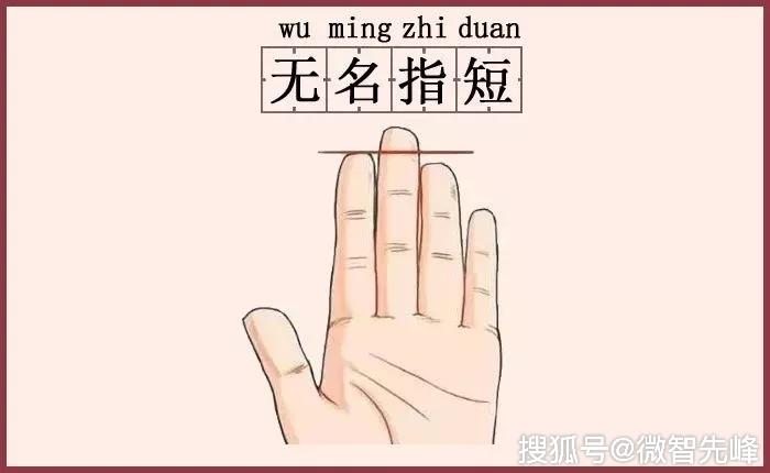 从无名指的长度, 看出一个人的婚姻运！_食指