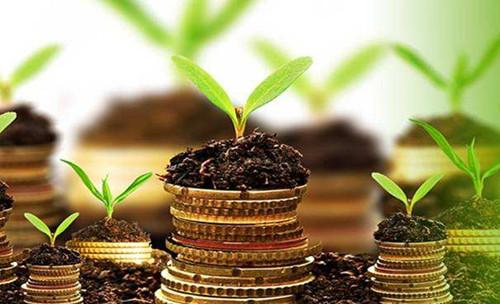 怎样快速获得财富种下7大财富种子让你收获财富人生