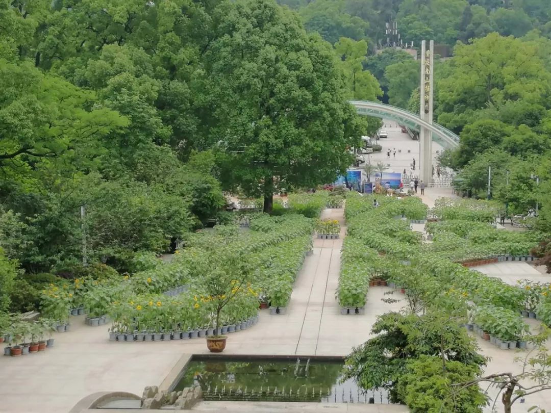 國樹國花展覽國花國樹是一個國家的標誌之一,南山植物園展覽溫室收集