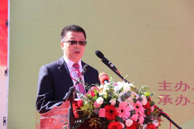 喜讯定临高速公路胡麻岭隧道右洞全线贯通