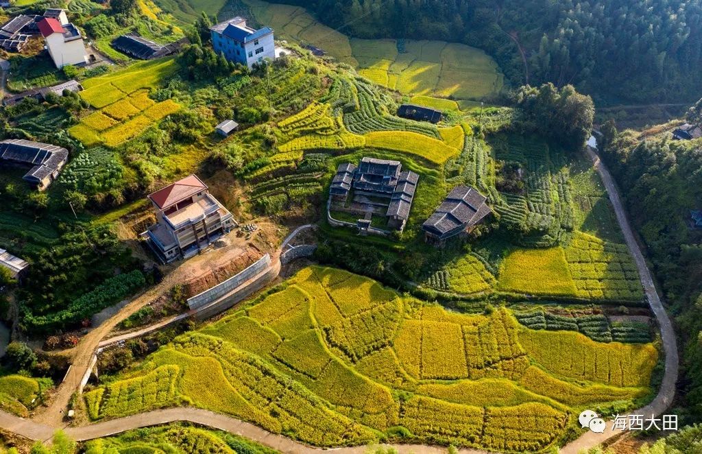 【航拍】大田中国传统古村落张坑村最美秋色_革命