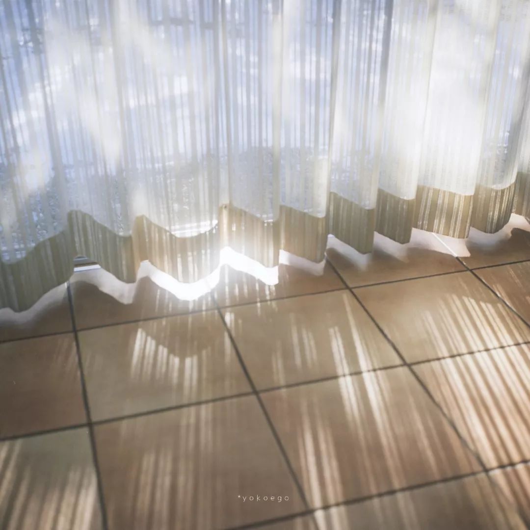 安静的生活影像真的太治愈了